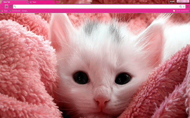 Pink Kitten  from Chrome web store to be run with OffiDocs Chromium online