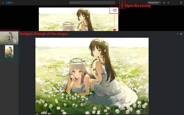 Pixiv Image Overlay  from Chrome web store to be run with OffiDocs Chromium online