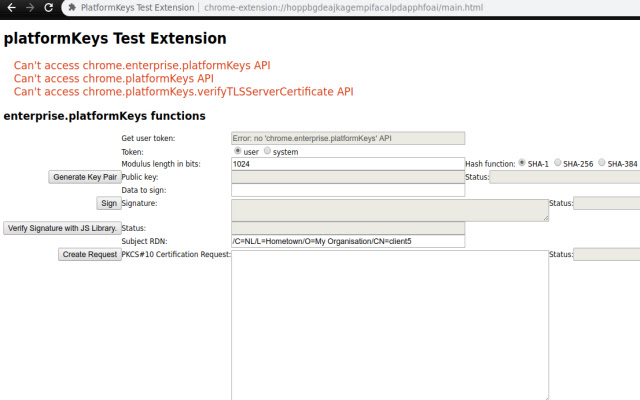 PlatformKeys Test Extension  from Chrome web store to be run with OffiDocs Chromium online