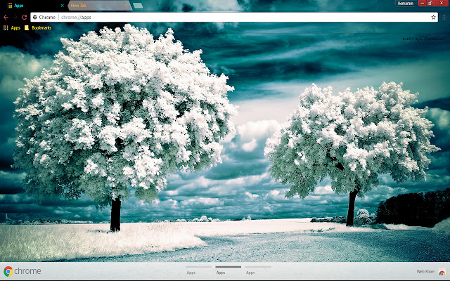 Pleasant Snow tree  from Chrome web store to be run with OffiDocs Chromium online