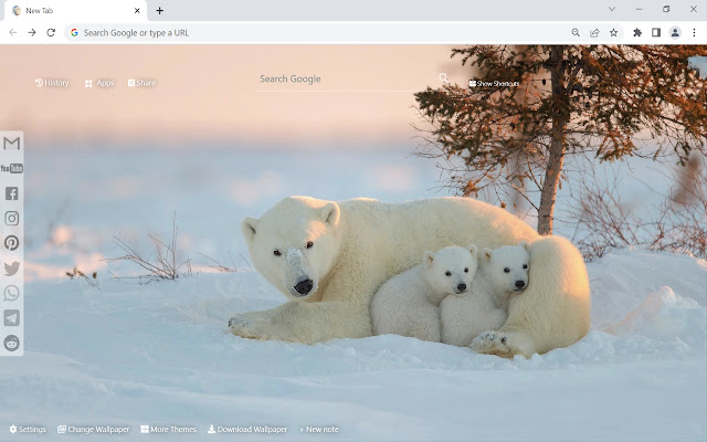 Polar Bear Wallpaper New Tab  from Chrome web store to be run with OffiDocs Chromium online