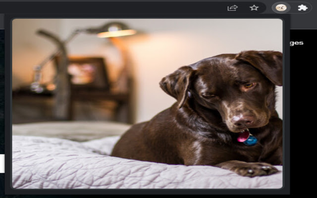 Puppies  from Chrome web store to be run with OffiDocs Chromium online