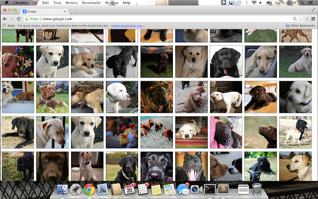 Puppy Overload  from Chrome web store to be run with OffiDocs Chromium online