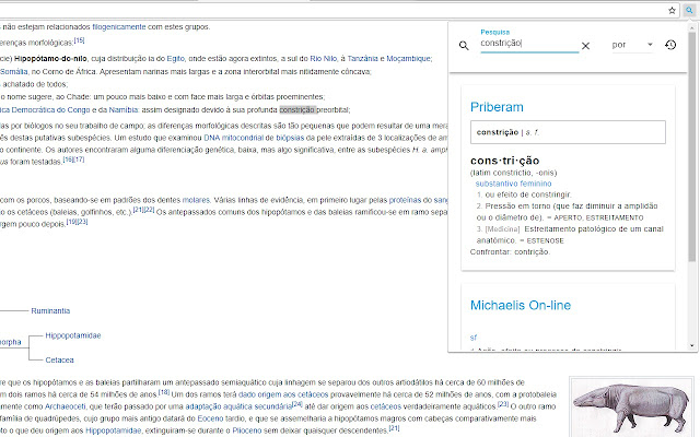 quero ser um dicionário  from Chrome web store to be run with OffiDocs Chromium online