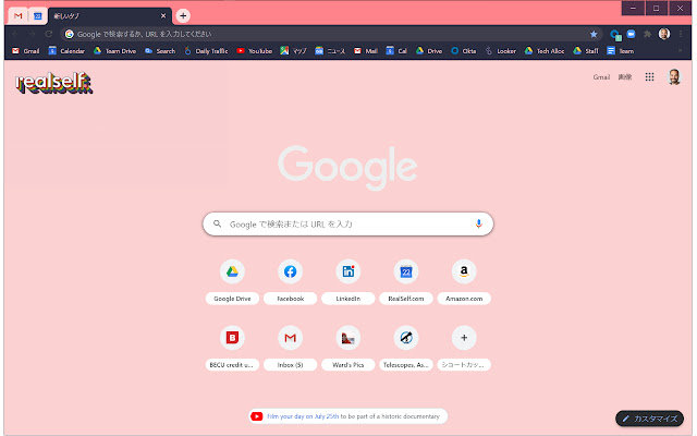 RealSelf Coral Pride  from Chrome web store to be run with OffiDocs Chromium online