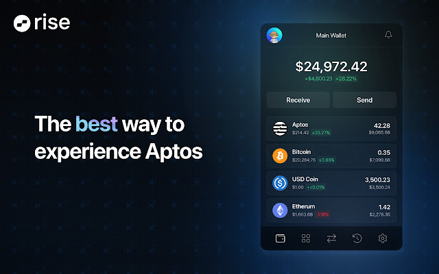 Rise Aptos Wallet  from Chrome web store to be run with OffiDocs Chromium online