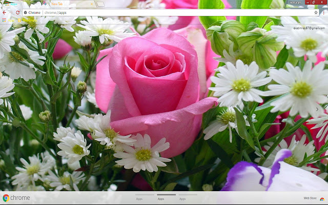 Rose pulchritudinous Nature  from Chrome web store to be run with OffiDocs Chromium online