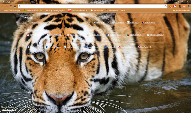 Royal Bengal Tiger 1920x1200  from Chrome web store to be run with OffiDocs Chromium online