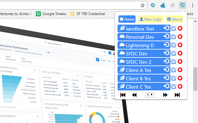 Salesforce 799 Credentials  from Chrome web store to be run with OffiDocs Chromium online