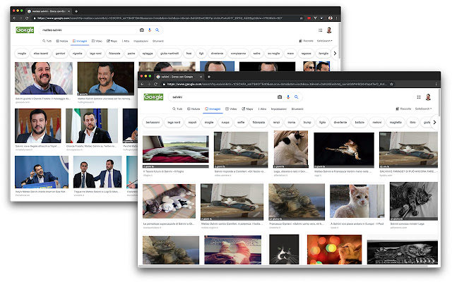 Salvini Blocker  from Chrome web store to be run with OffiDocs Chromium online