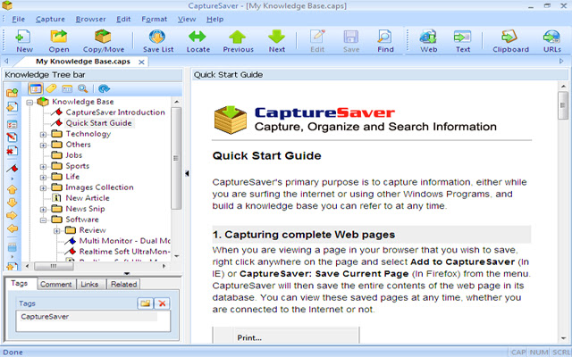 Save to CaptureSaver  from Chrome web store to be run with OffiDocs Chromium online