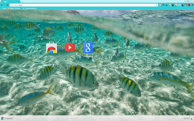 Sea Of Glass  from Chrome web store to be run with OffiDocs Chromium online