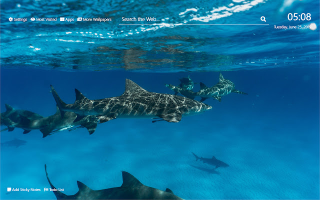 shark Wallpaper HD New Tab Theme  from Chrome web store to be run with OffiDocs Chromium online