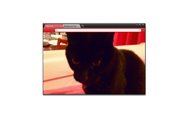 Shaylas Cat  from Chrome web store to be run with OffiDocs Chromium online