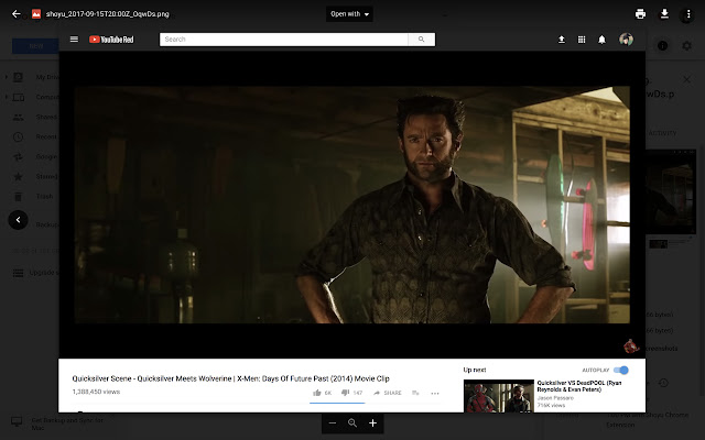 Shoyu  from Chrome web store to be run with OffiDocs Chromium online