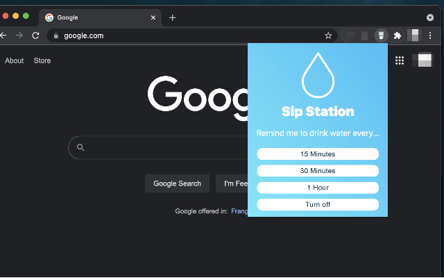 Sip Station  from Chrome web store to be run with OffiDocs Chromium online