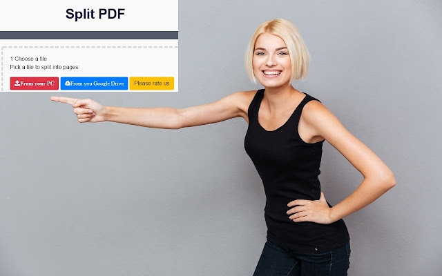 Split PDF  from Chrome web store to be run with OffiDocs Chromium online