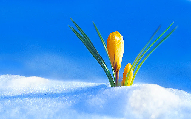 Spring Weather In Italy  from Chrome web store to be run with OffiDocs Chromium online