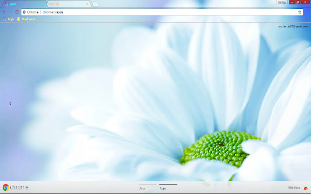Spring White Flower  from Chrome web store to be run with OffiDocs Chromium online