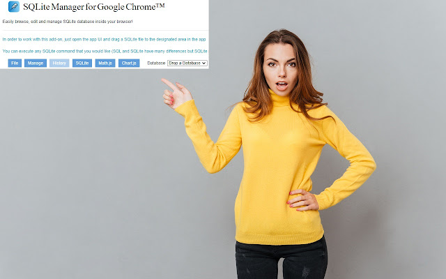 SQLite Manager for Google Chrome™  from Chrome web store to be run with OffiDocs Chromium online