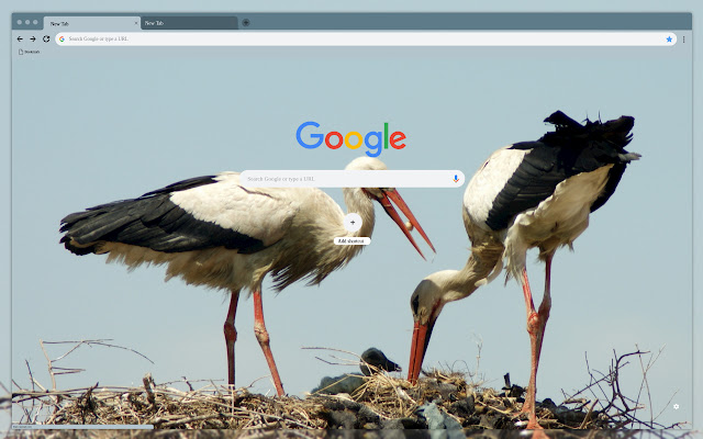 Stork  from Chrome web store to be run with OffiDocs Chromium online