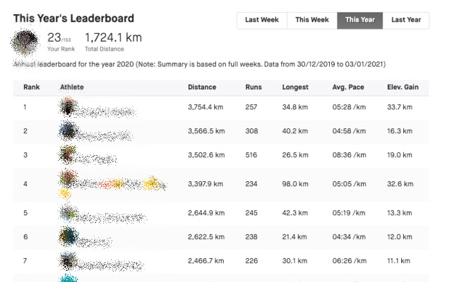 Strava Club Annual Leaderboard  from Chrome web store to be run with OffiDocs Chromium online