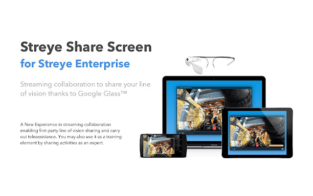 Streye Share Screen  from Chrome web store to be run with OffiDocs Chromium online