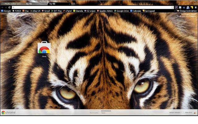 Sumatran Tiger theme  from Chrome web store to be run with OffiDocs Chromium online