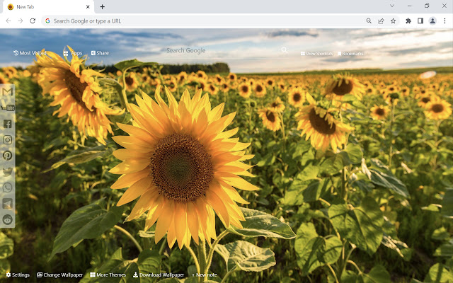 Sunflowers Wallpaper  from Chrome web store to be run with OffiDocs Chromium online