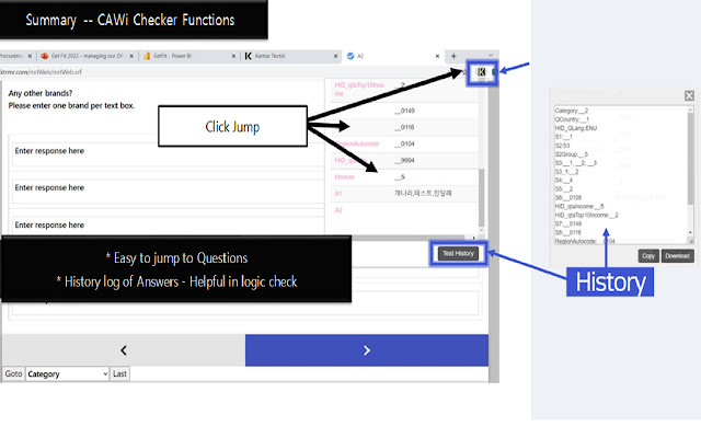 Survey Logic Checker  from Chrome web store to be run with OffiDocs Chromium online