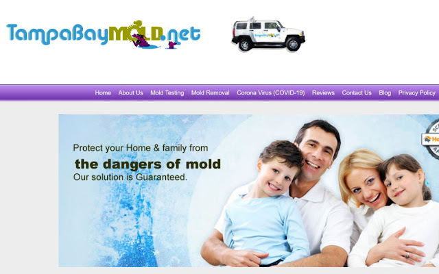 Tampa Mold Remediation  from Chrome web store to be run with OffiDocs Chromium online