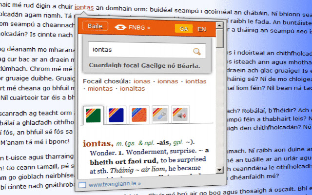 Teanglann.ie An Foclóirí  from Chrome web store to be run with OffiDocs Chromium online