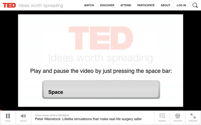 TED Player Control  from Chrome web store to be run with OffiDocs Chromium online