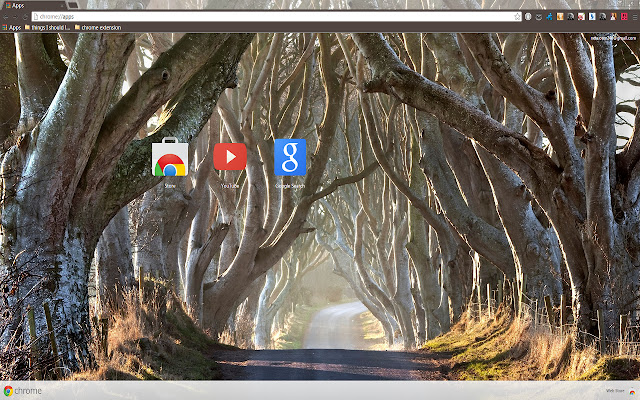 The Dark Hedges  from Chrome web store to be run with OffiDocs Chromium online