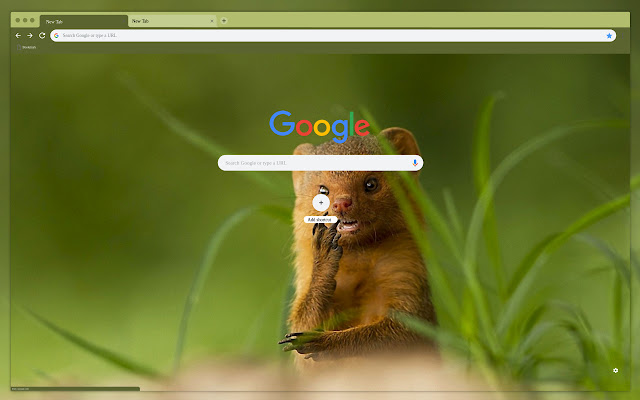 The muzzle of the animal  from Chrome web store to be run with OffiDocs Chromium online