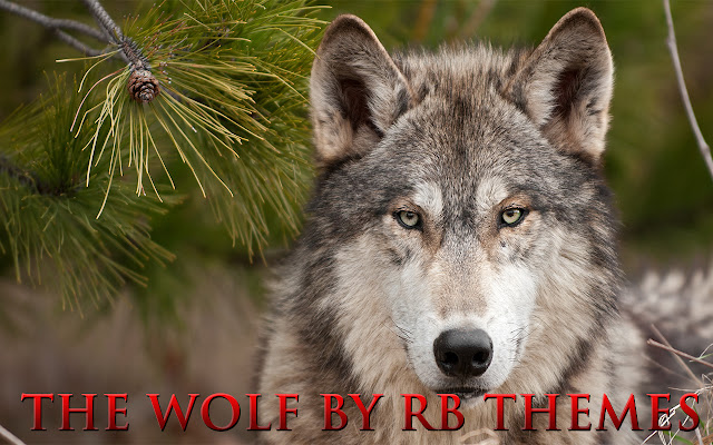 The Wolf by RB Themes  from Chrome web store to be run with OffiDocs Chromium online