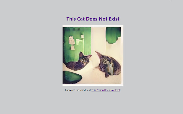 This Cat Does Not Exist New Tab  from Chrome web store to be run with OffiDocs Chromium online