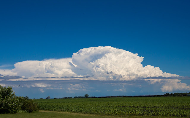 Thunderhead  from Chrome web store to be run with OffiDocs Chromium online