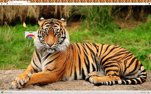 Tiger Theme  from Chrome web store to be run with OffiDocs Chromium online