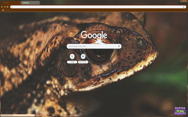 Toad  from Chrome web store to be run with OffiDocs Chromium online