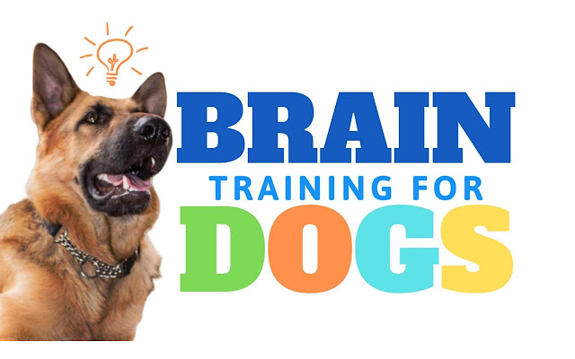 Training For Dogs  from Chrome web store to be run with OffiDocs Chromium online