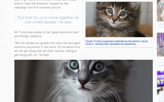 Trump Kittens  from Chrome web store to be run with OffiDocs Chromium online