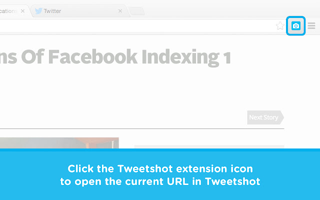 TwitShot for Chrome  from Chrome web store to be run with OffiDocs Chromium online