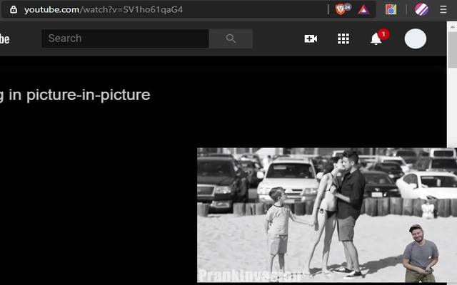 Universal Picture in Picture  from Chrome web store to be run with OffiDocs Chromium online