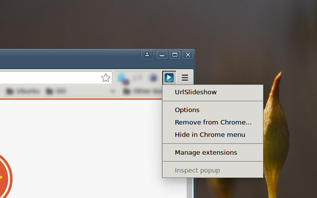 Url Slideshow  from Chrome web store to be run with OffiDocs Chromium online