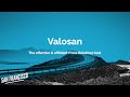 Valosan GMail Extension  from Chrome web store to be run with OffiDocs Chromium online