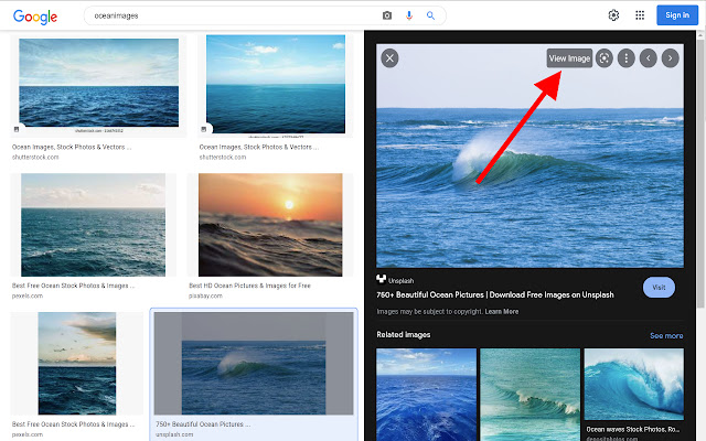 View Image  from Chrome web store to be run with OffiDocs Chromium online