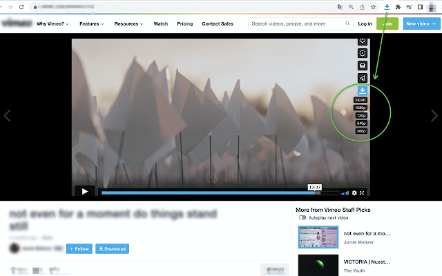 Vimeo™ Downloader Professional  from Chrome web store to be run with OffiDocs Chromium online