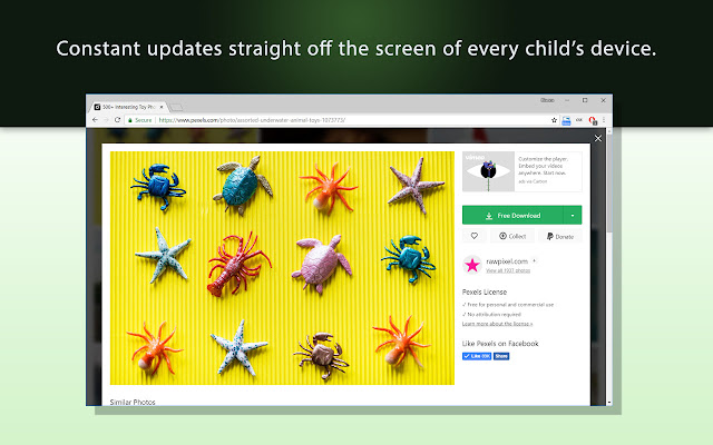 Visible Internet Child  from Chrome web store to be run with OffiDocs Chromium online