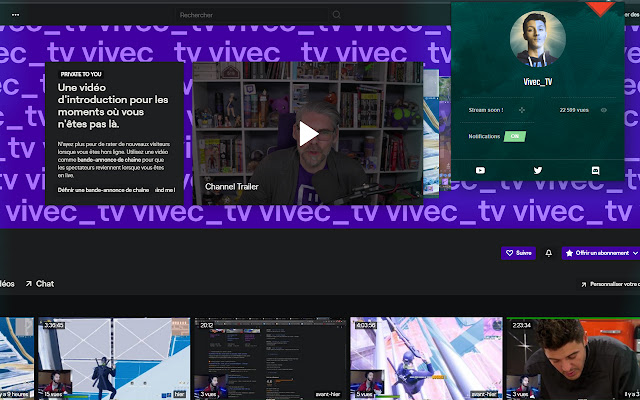 Vivec TV  from Chrome web store to be run with OffiDocs Chromium online